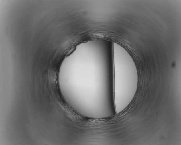 X0000090770331200707201119