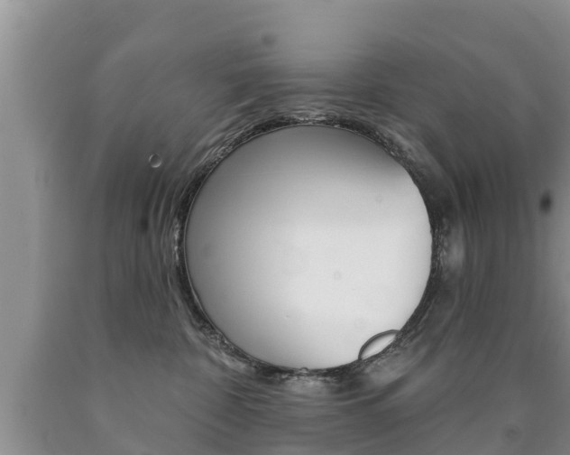 X0000090770332200707201119