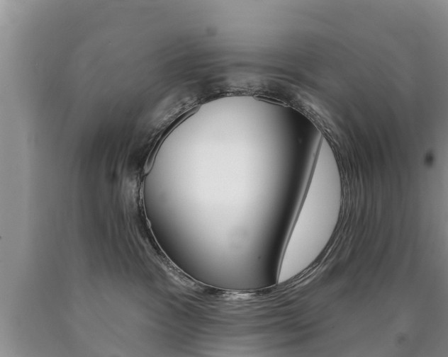 X0000090770333200707201119