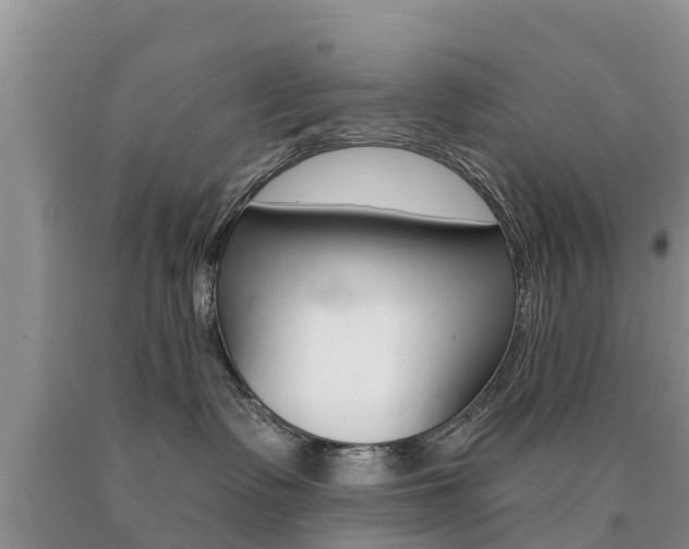 X0000090770335200707201119
