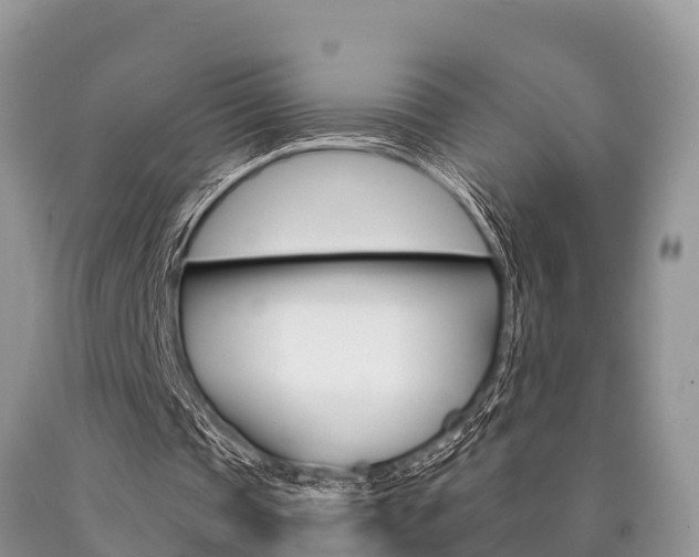 X0000090770337200707201119