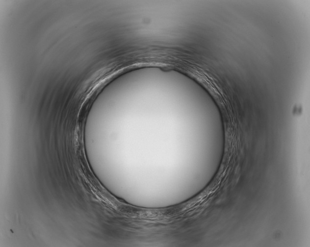 X0000090770338200707201119