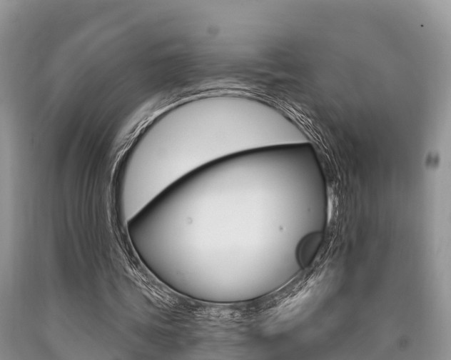 X0000090770339200707201119