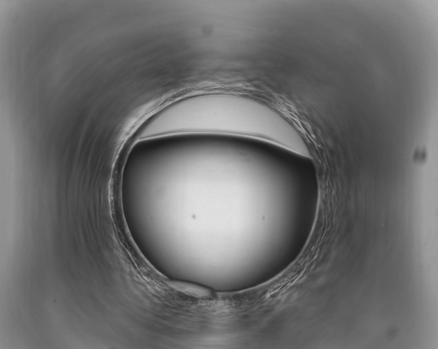 X0000090770340200707201119