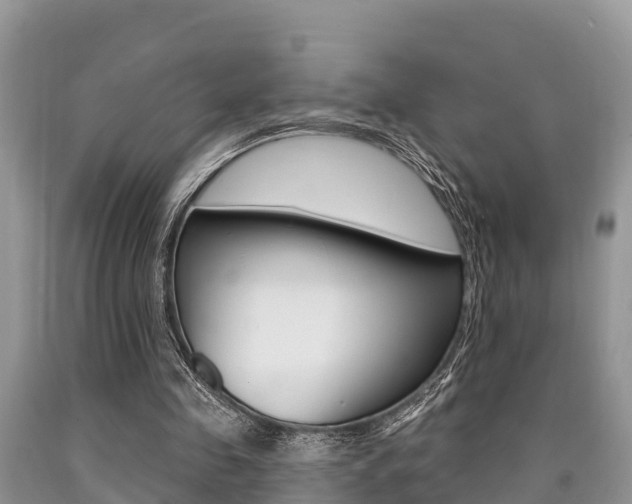 X0000090770341200707201119