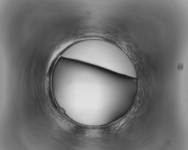 X0000090770342200707201119