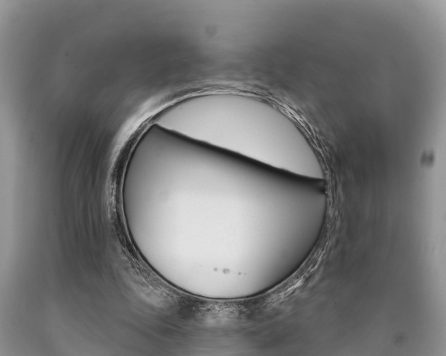 X0000090770343200707201119