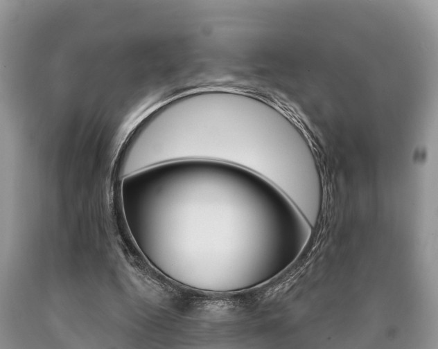 X0000090770344200707201119
