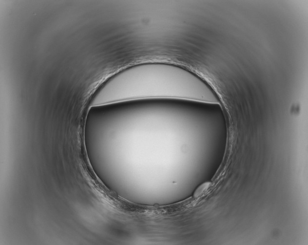 X0000090770345200707201119