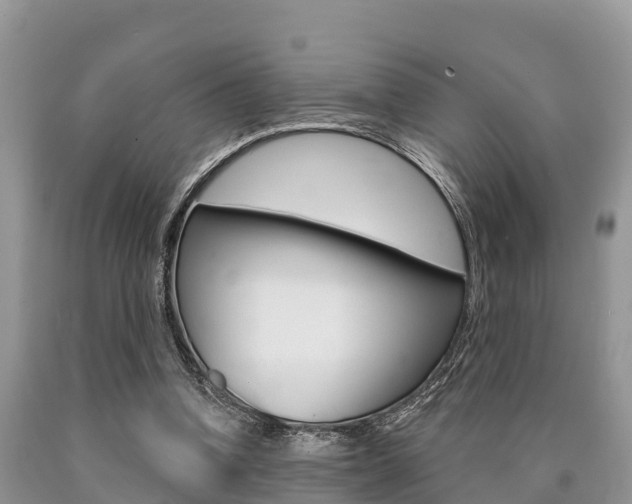 X0000090770346200707201119