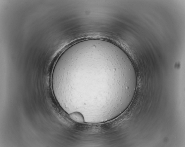 X0000090770347200707201119