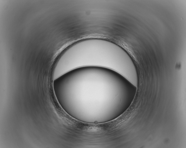 X0000090770348200707201119