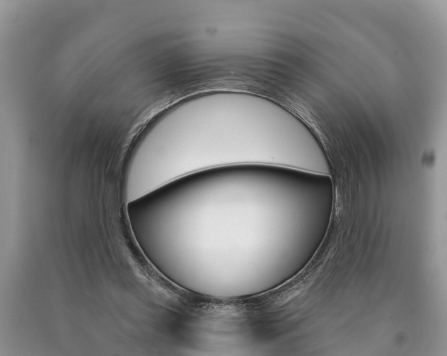 X0000090770349200707201119