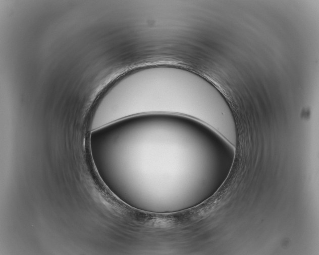 X0000090770350200707201119