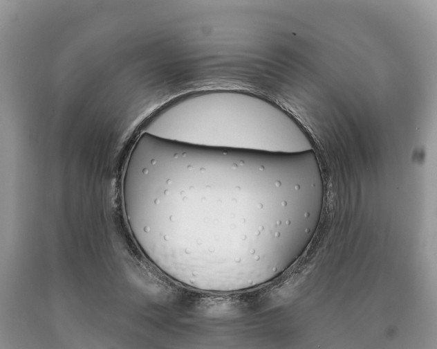 X0000090770351200707201119