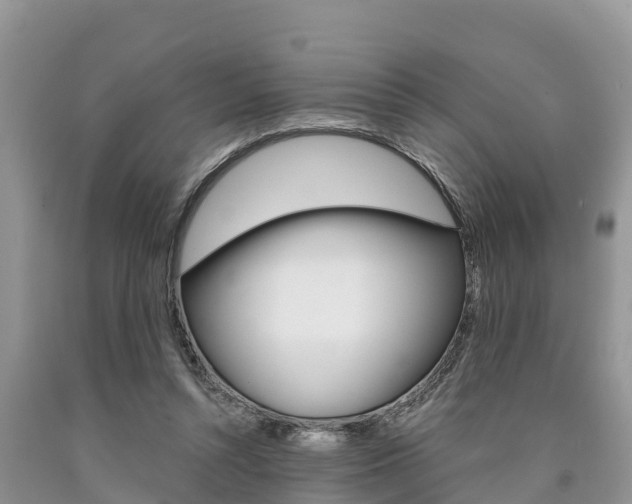 X0000090770352200707201119