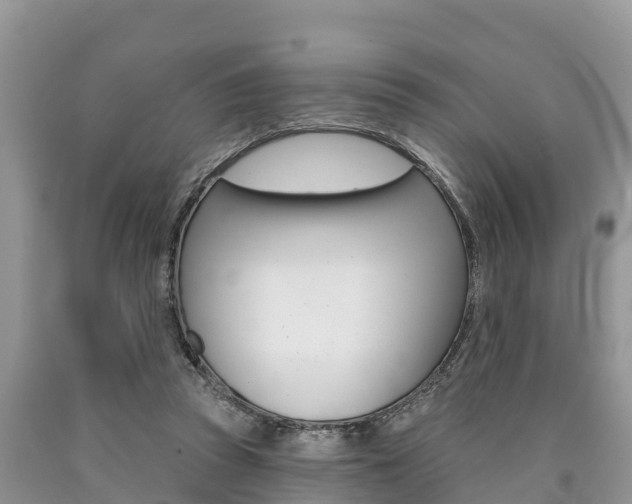 X0000090770353200707201119