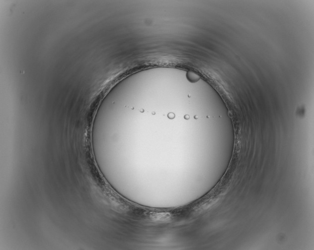 X0000090770355200707201119