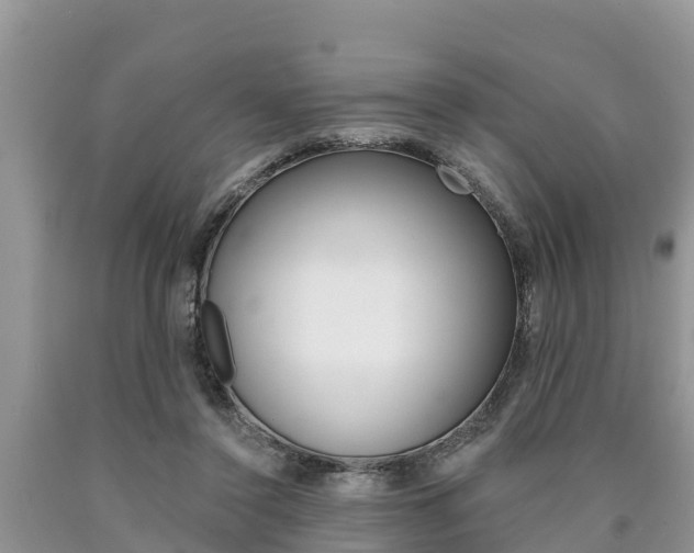X0000090770356200707201119