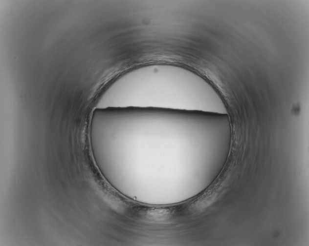 X0000090770357200707201119
