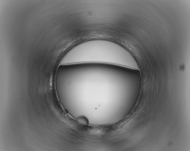 X0000090770358200707201119