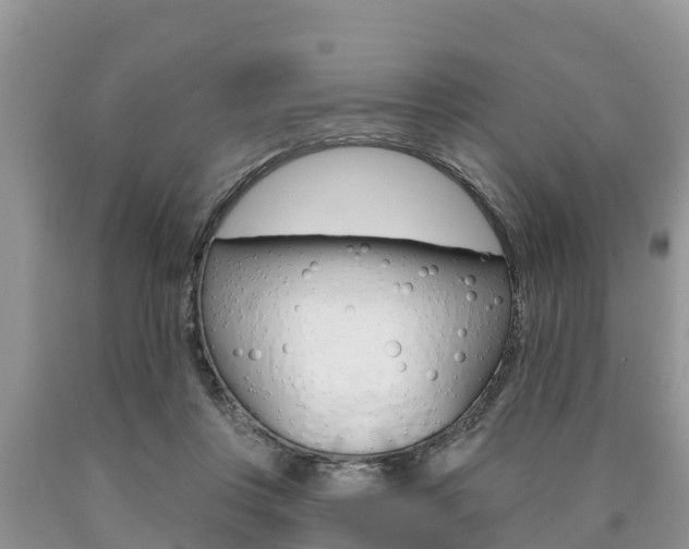 X0000090770359200707201119