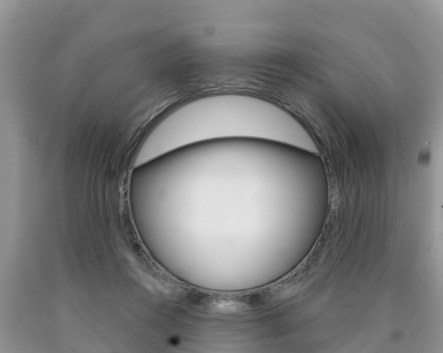 X0000090770360200707201119