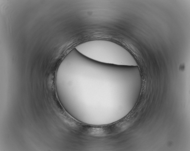 X0000090770361200707201119
