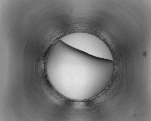 X0000090770363200707201119
