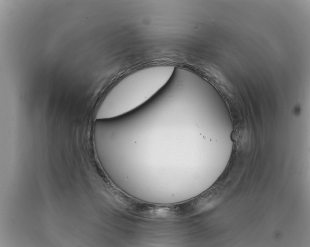 X0000090770365200707201119