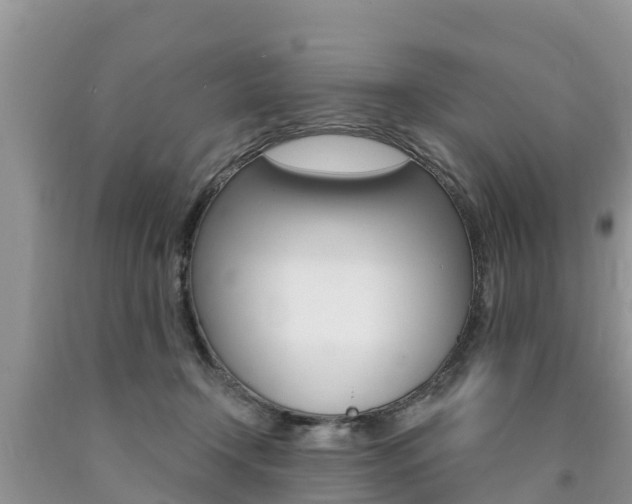 X0000090770366200707201119
