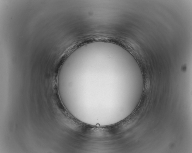 X0000090770367200707201119