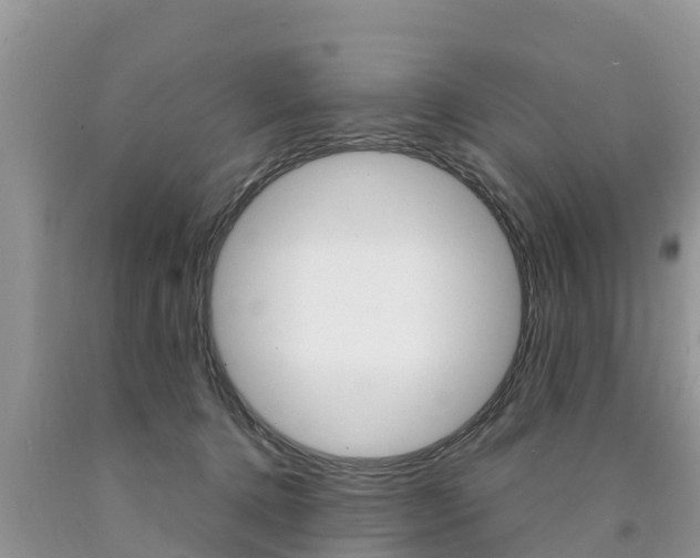 X0000090770368200707201119