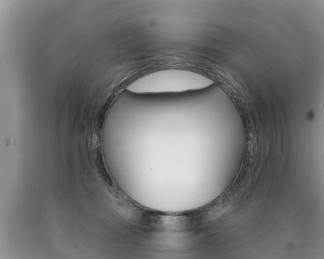 X0000090770371200707201119