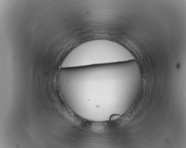 X0000090770373200707201119