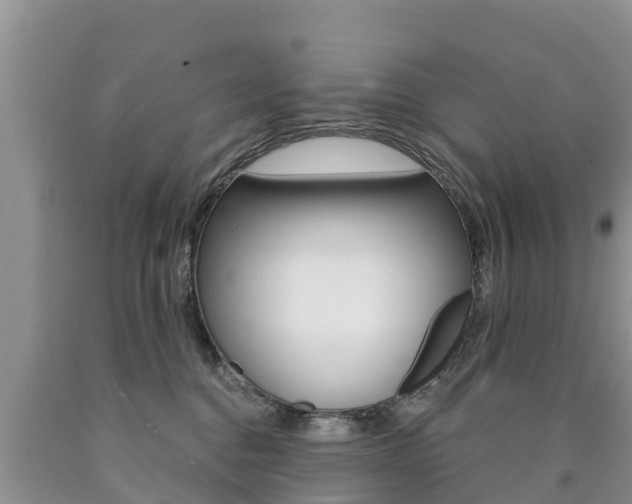 X0000090770376200707201119