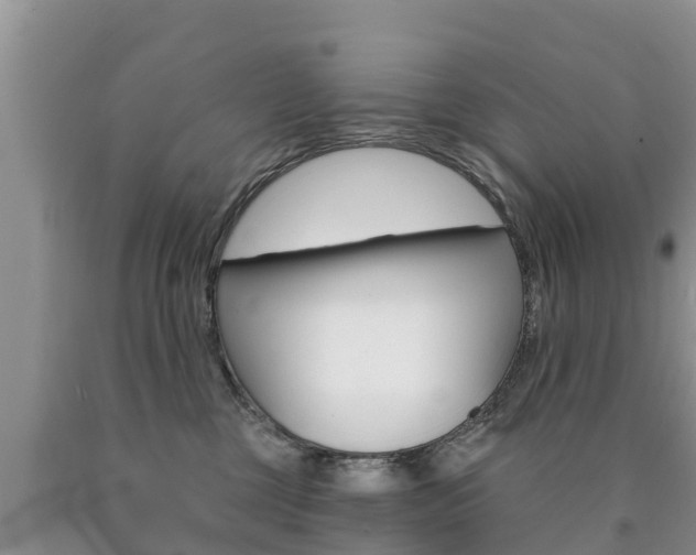X0000090770377200707201119
