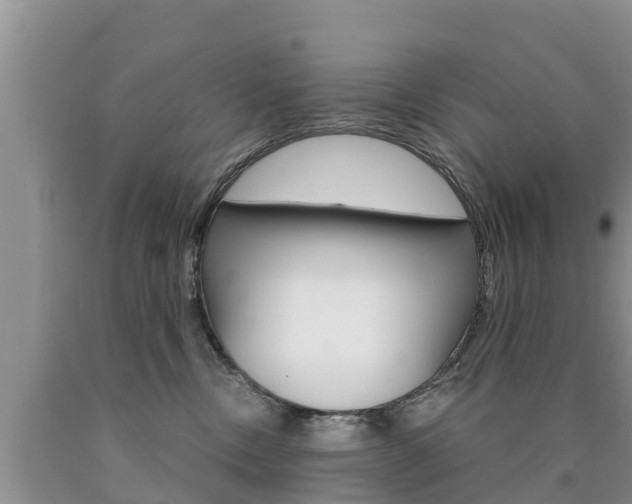X0000090770378200707201119