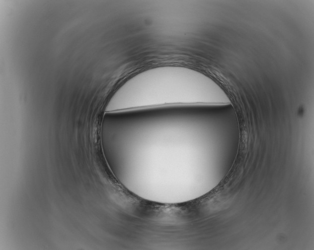 X0000090770379200707201119