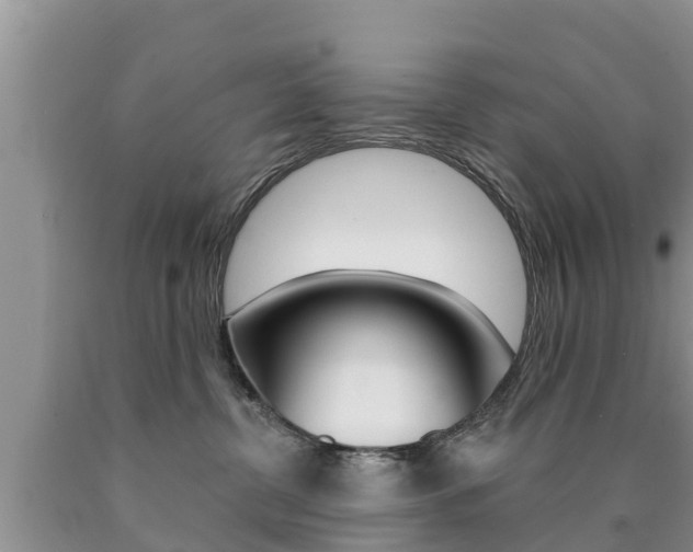 X0000090770380200707201119