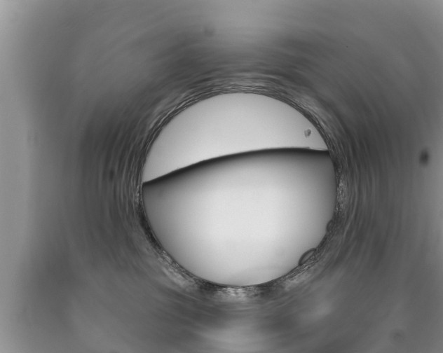 X0000090770381200707201119
