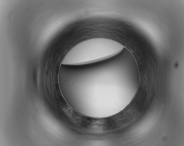 X0000090770382200707201119