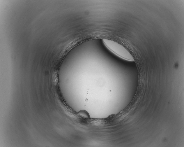 X0000090770383200707201119