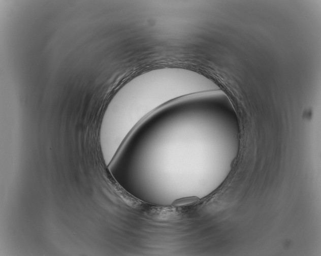 X0000090770384200707201119