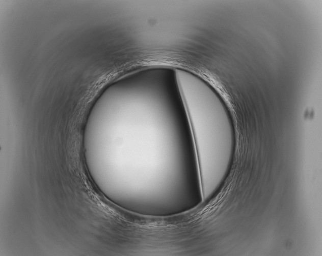 X0000090770385200707201119