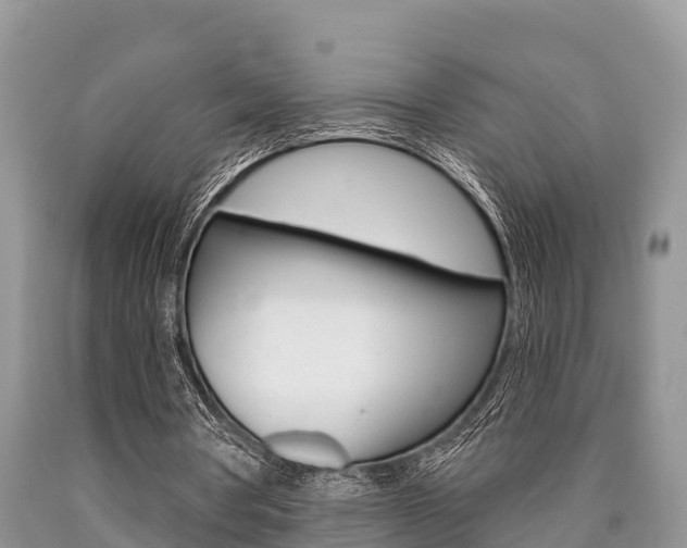 X0000090770386200707201119