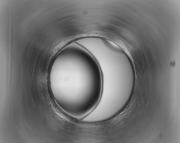 X0000090770389200707201119