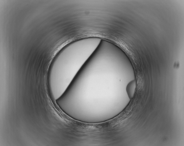 X0000090770390200707201119