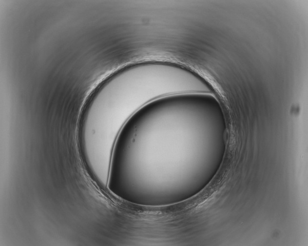 X0000090770391200707201119
