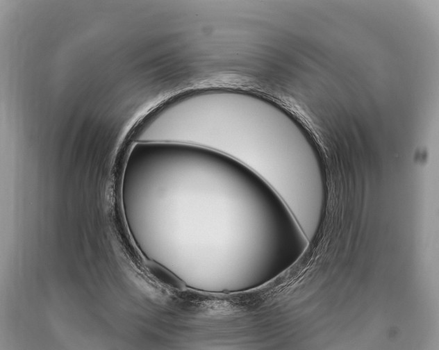 X0000090770392200707201119